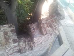 castlepark gate - 14150.jpg